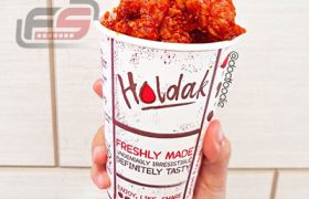 Franchise Holdak